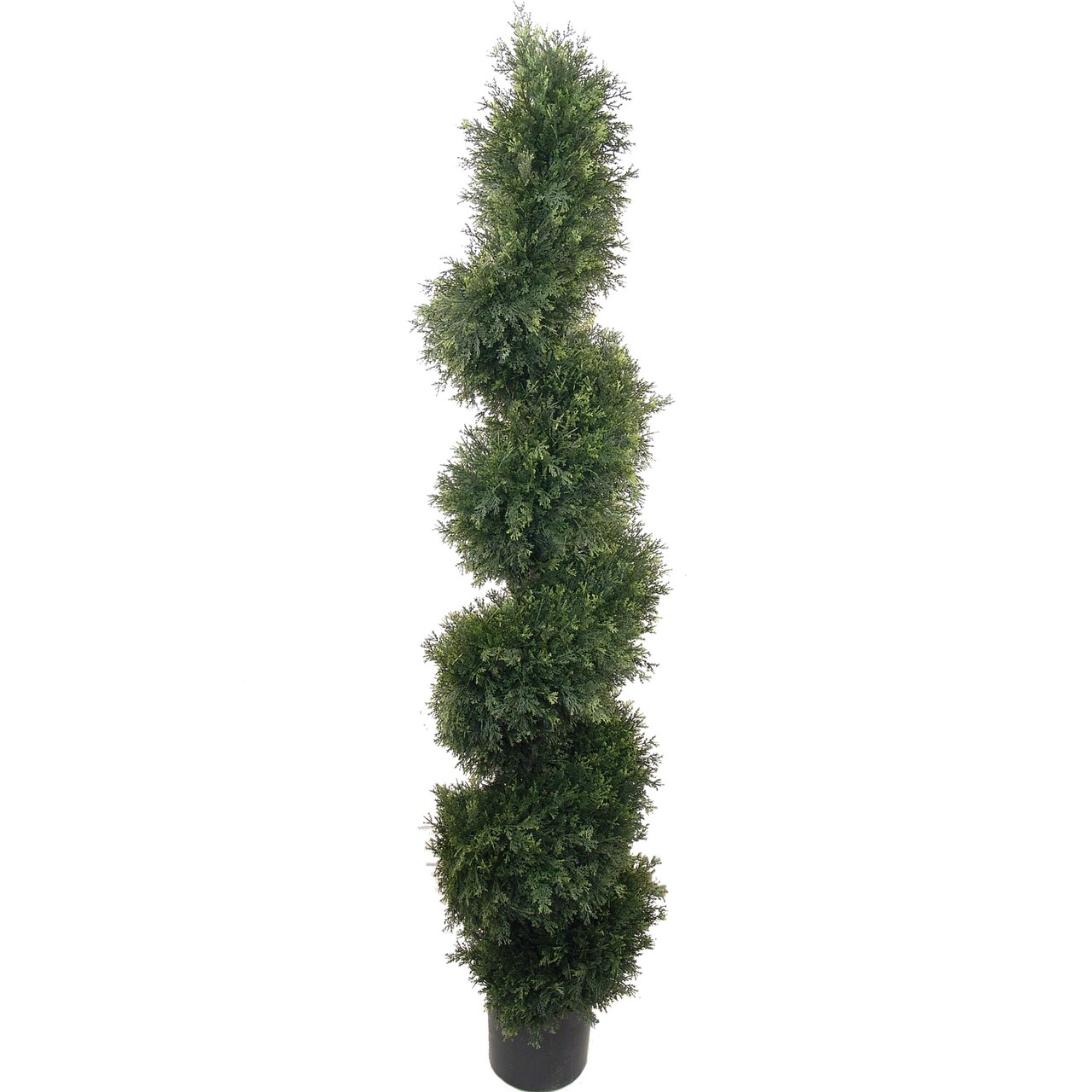 5ft Spiral Cedar Topiary Tree in Black Pot by Floral Home®